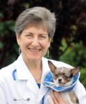M. Joy Weinstein, VMD, DACVS