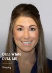 Dana A. White, DVM, DACVS (SA)